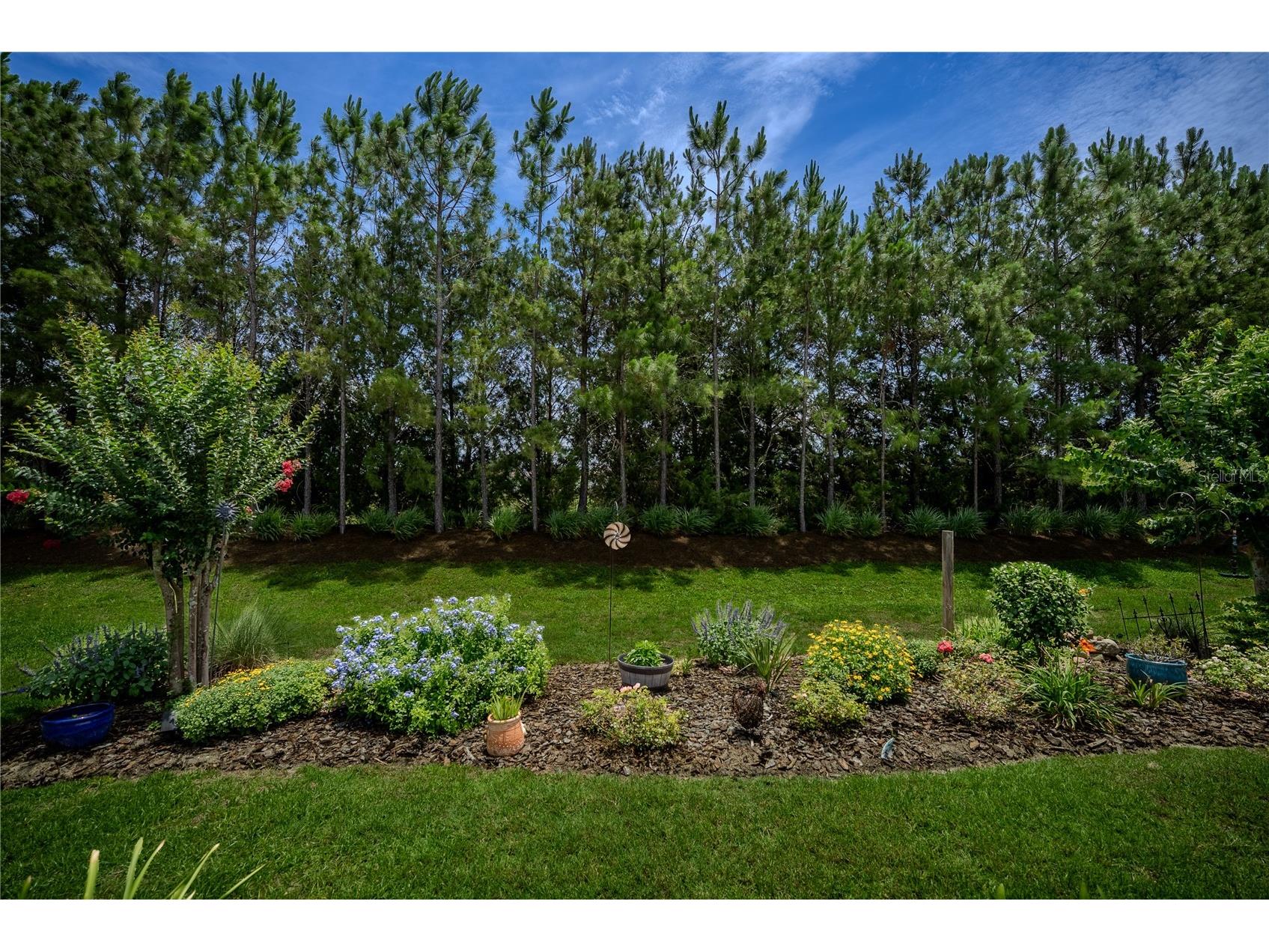 9145 SW 70th Loop Ocala FL 34481 OM725955 image32
