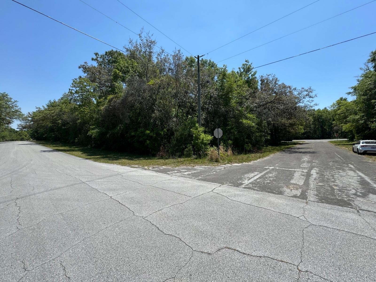 9146 N Golfview Drive Citrus Springs FL 34434 O6377848 image2