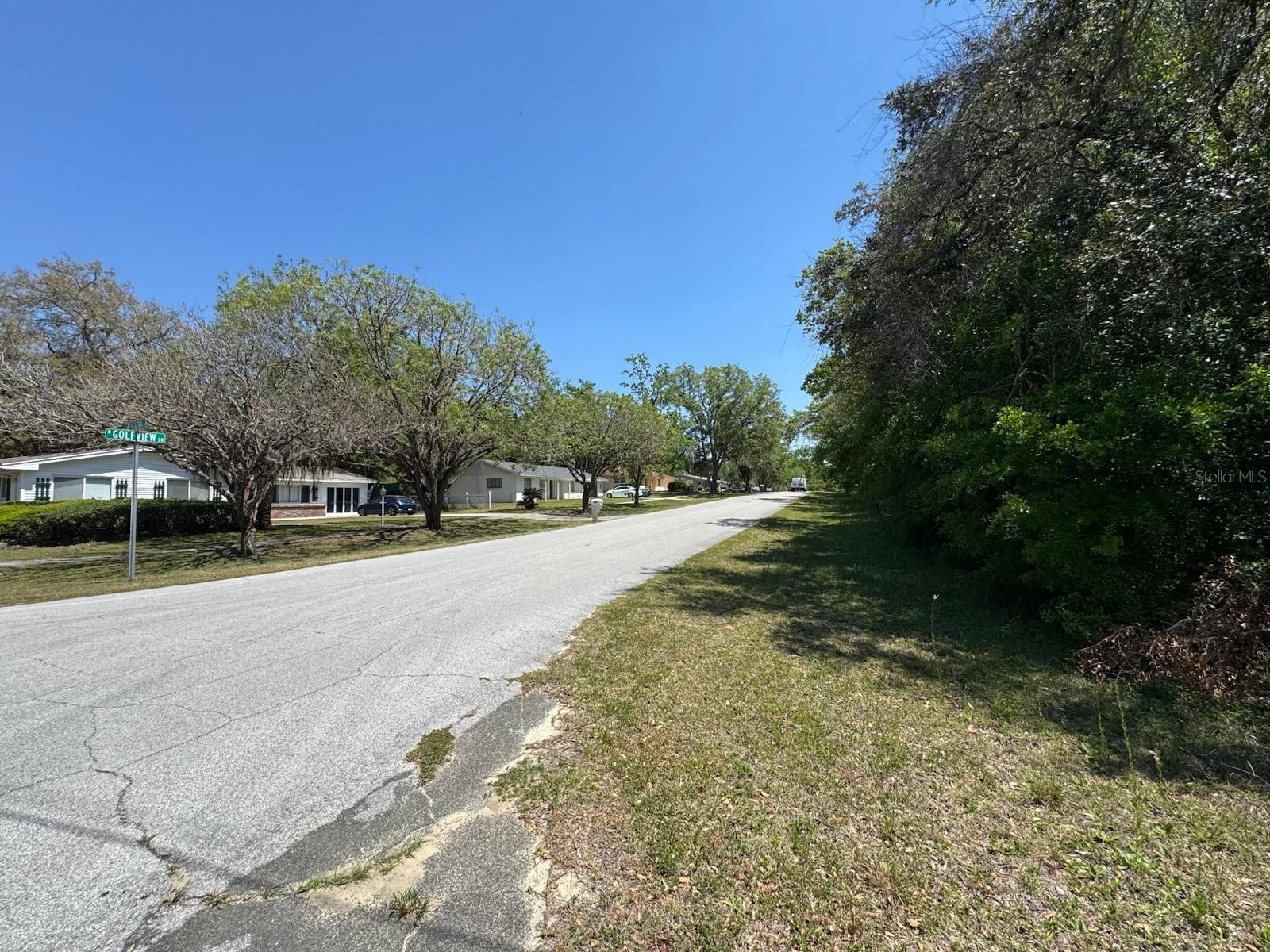 9146 N Golfview Drive Citrus Springs FL 34434 O6377848 image3