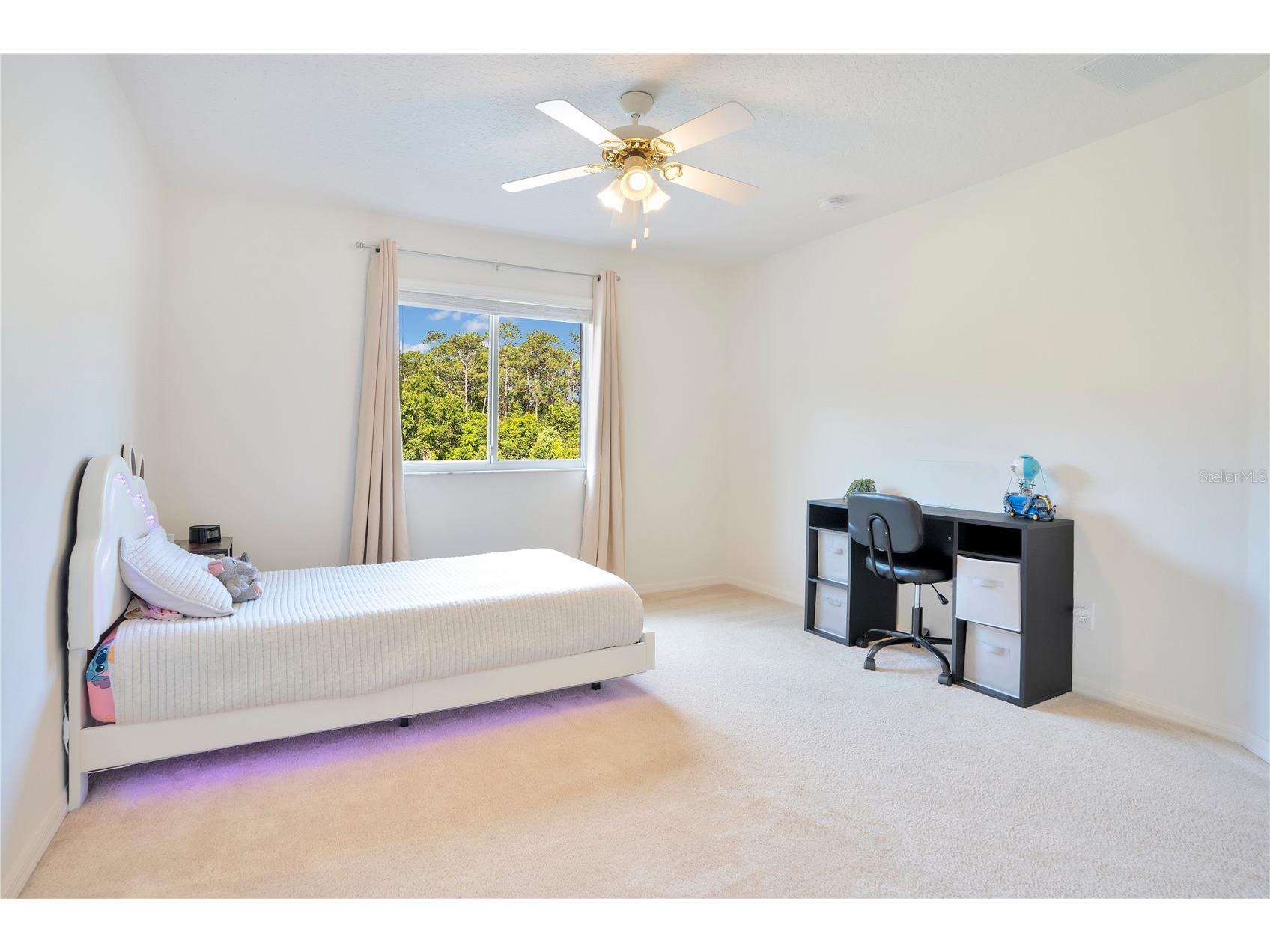 9149 Pecky Cypress Way Orlando FL 32836 O6395772 image21