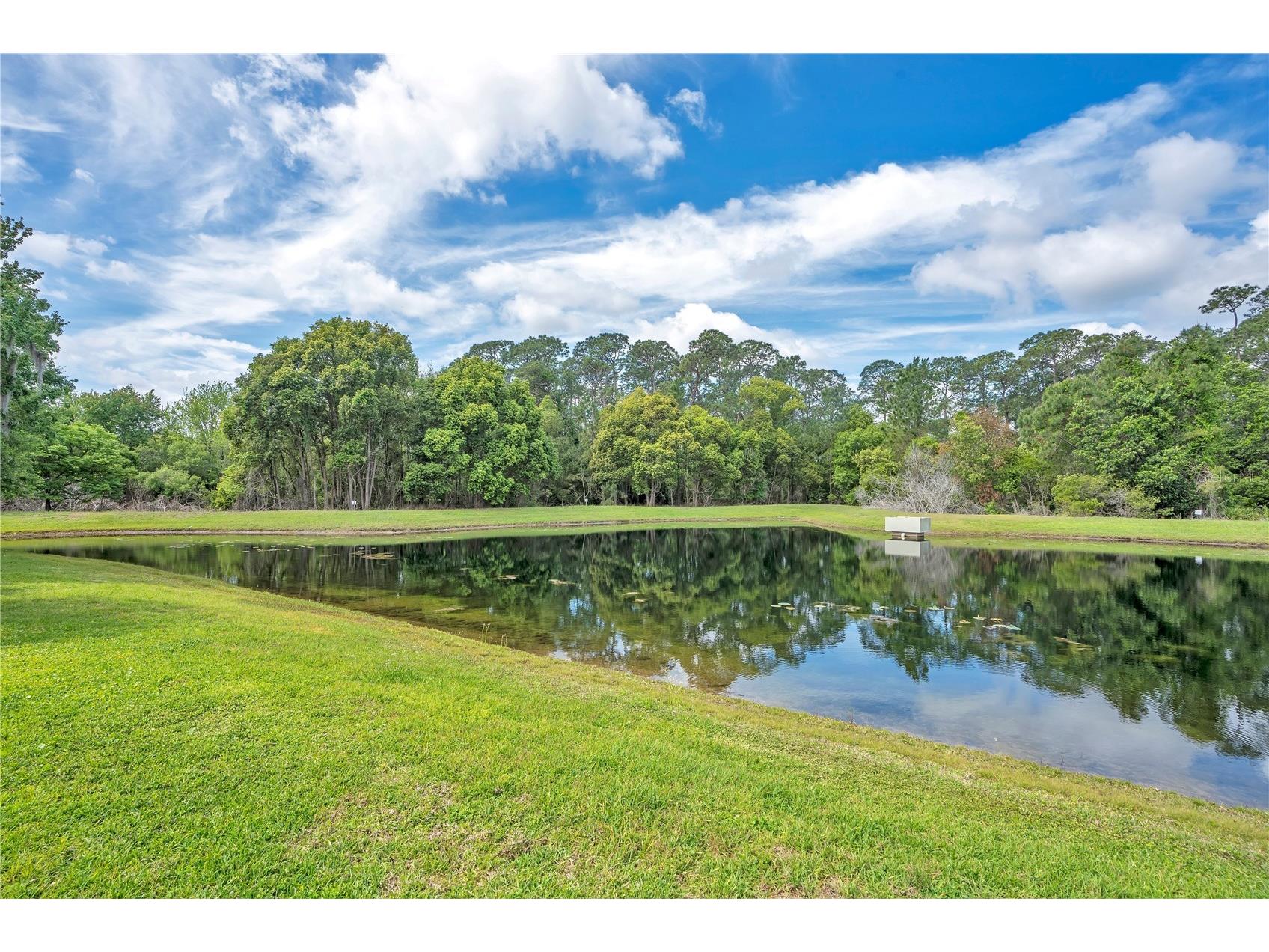 9149 Pecky Cypress Way Orlando FL 32836 O6395772 image32