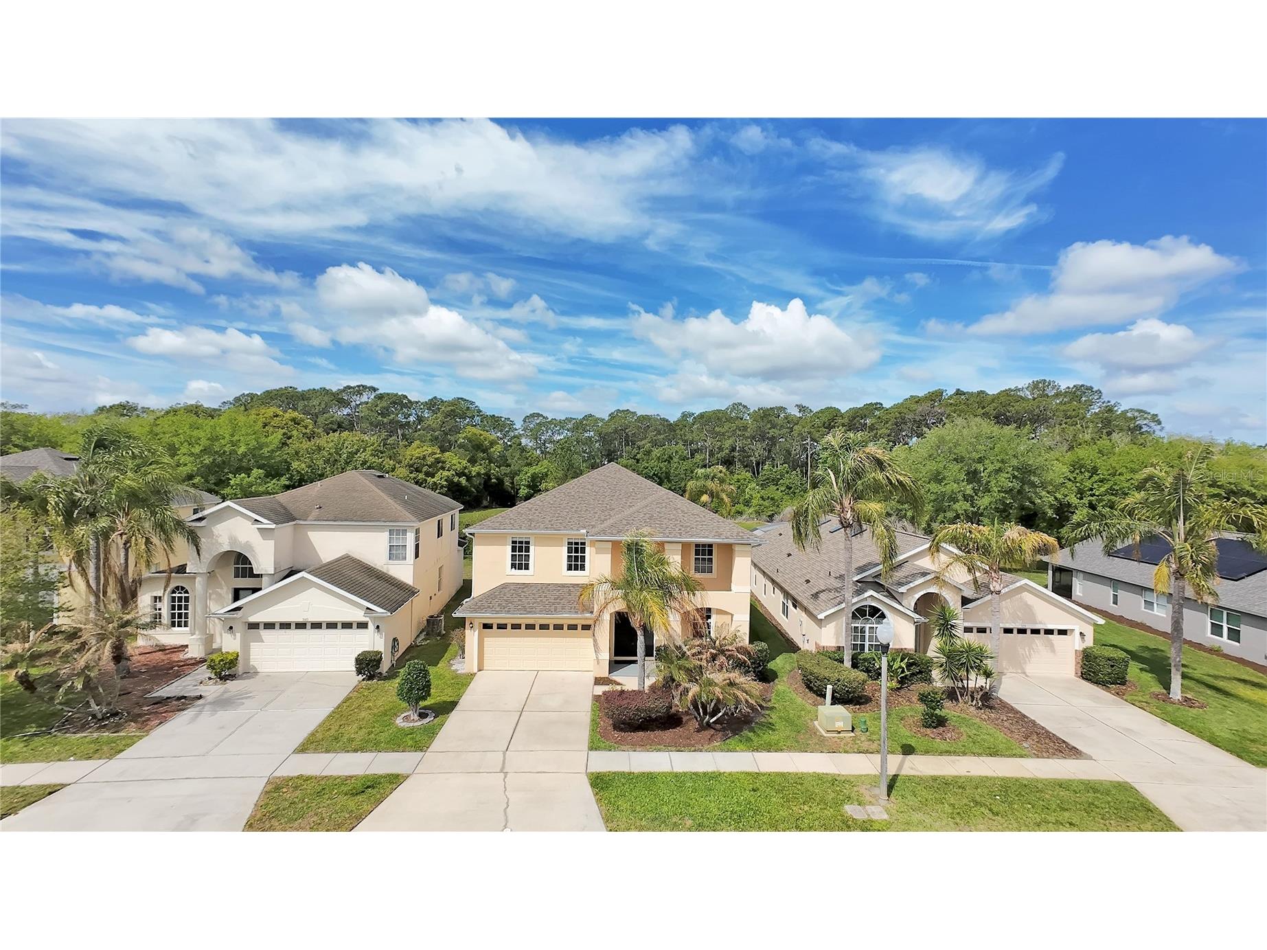 9149 Pecky Cypress Way Orlando FL 32836 O6395772 image33