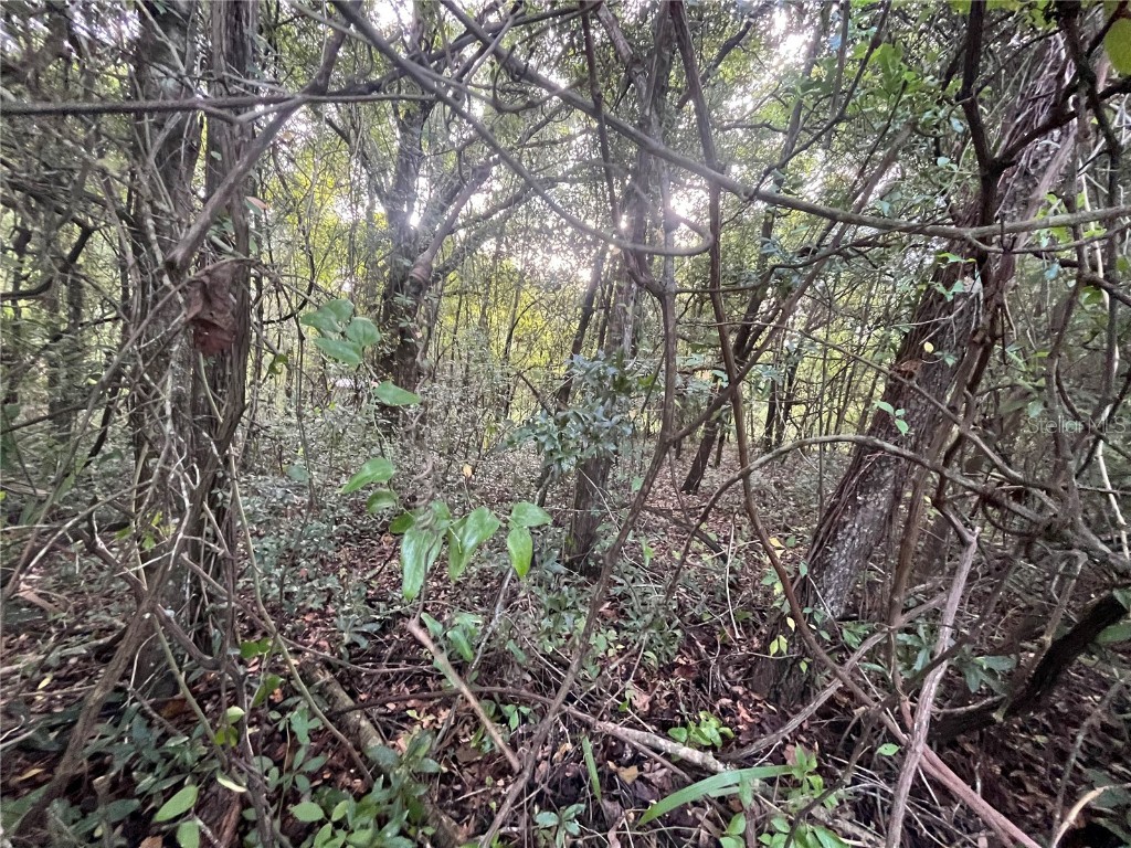 915 Annette Avenue Interlachen FL 32148 OK225384 image1