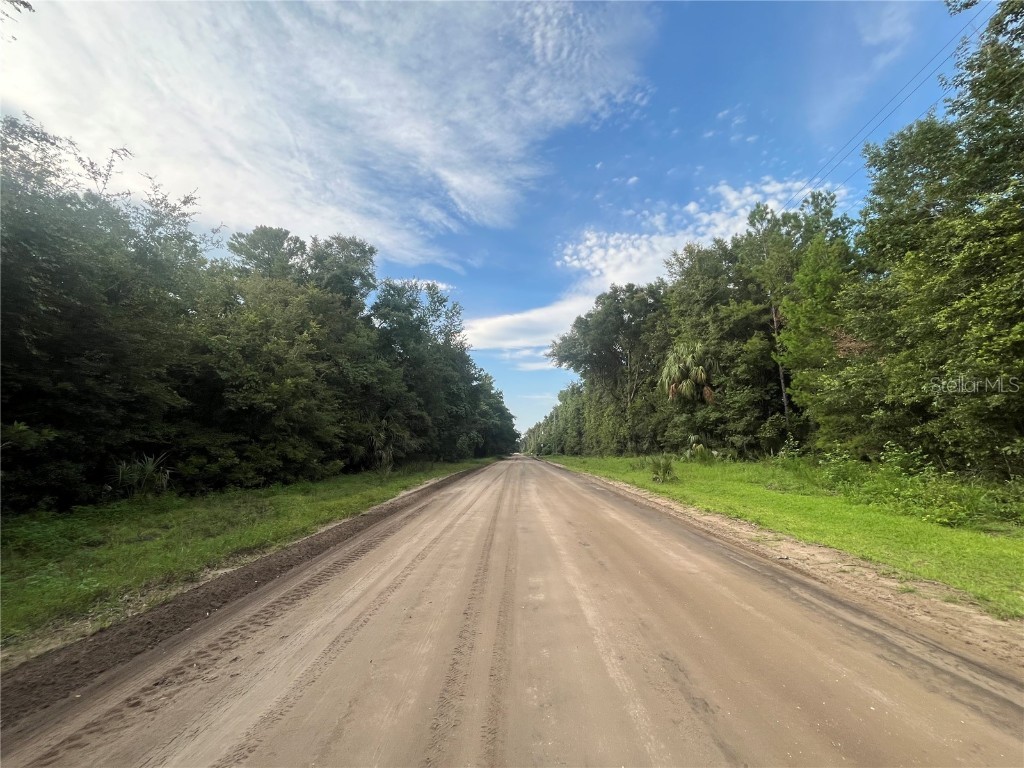 915 Annette Avenue Interlachen FL 32148 OK225384 image10