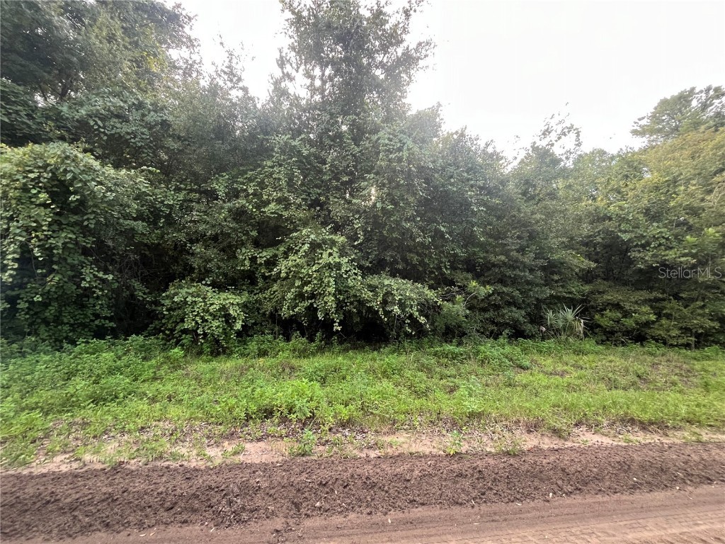 915 Annette Avenue Interlachen FL 32148 OK225384 image11