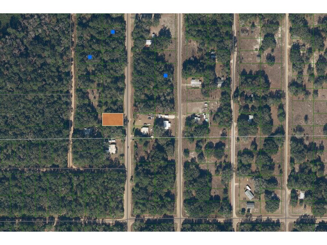 915 Annette Avenue Interlachen FL 32148 OK225384 image12