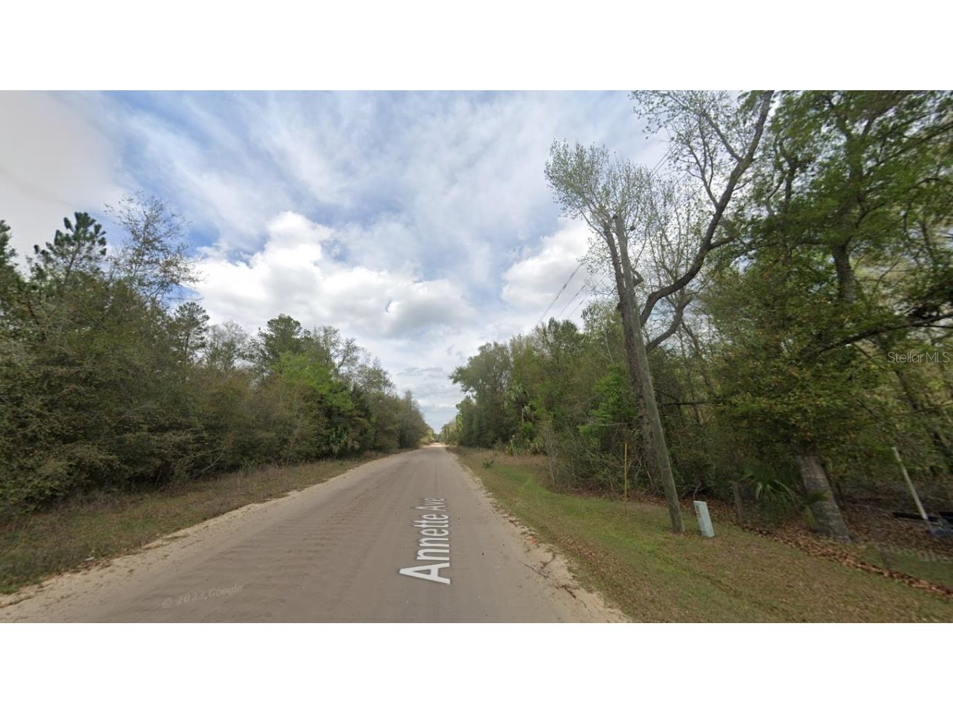 915 Annette Avenue Interlachen FL 32148 OK225384 image3