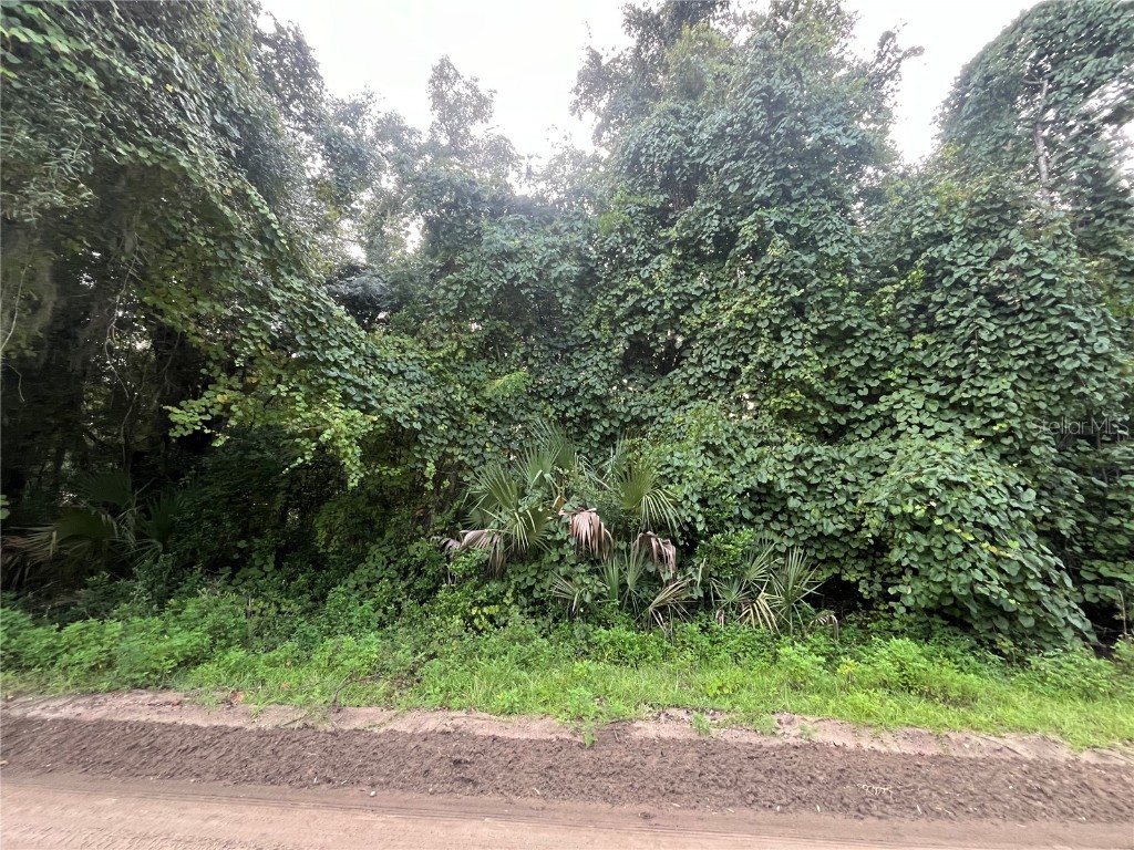 915 Annette Avenue Interlachen FL 32148 OK225384 image6