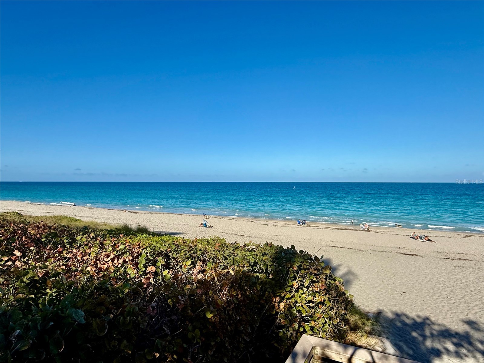 915 Bay Colony Drive S #S Juno Beach FL 33408 O6389605 image33