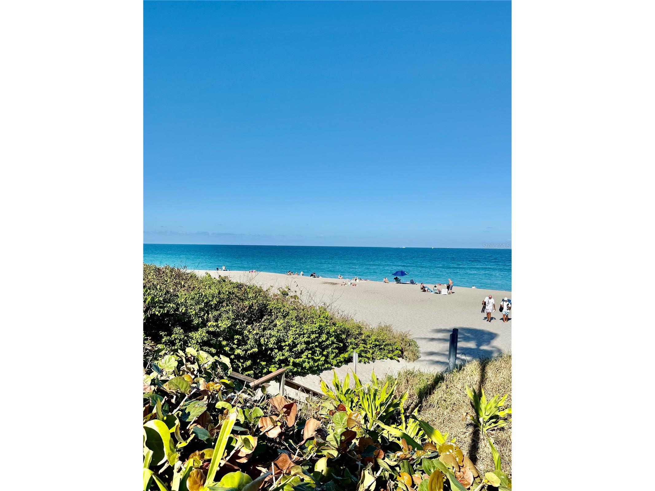 915 Bay Colony Drive S #S Juno Beach FL 33408 O6389605 image34