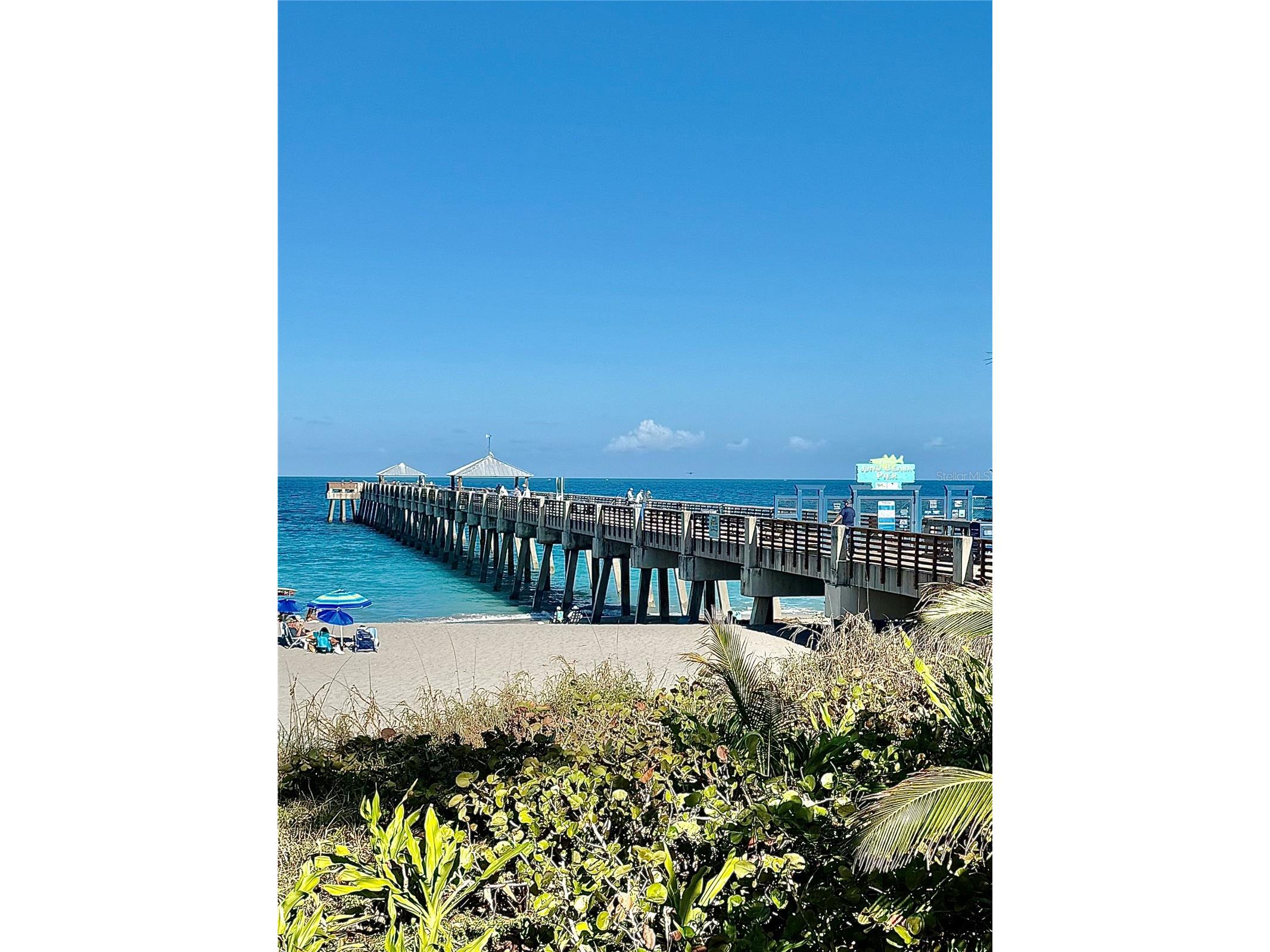 915 Bay Colony Drive S #S Juno Beach FL 33408 O6389605 image36