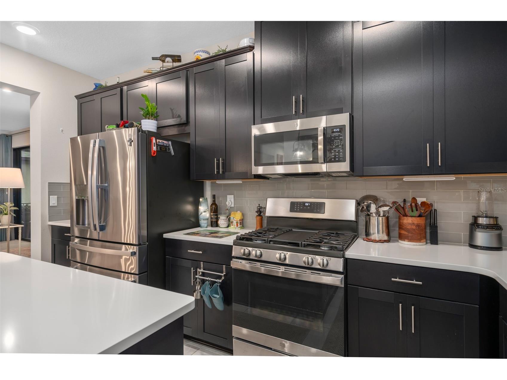 915 Braewood Drive Clermont FL 34715 O6378759 image11