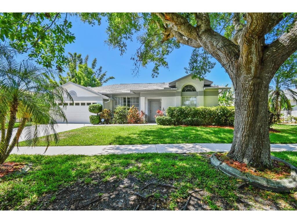 915 Brittany Park Boulevard Tarpon Springs FL 34689 TB8354448 image1