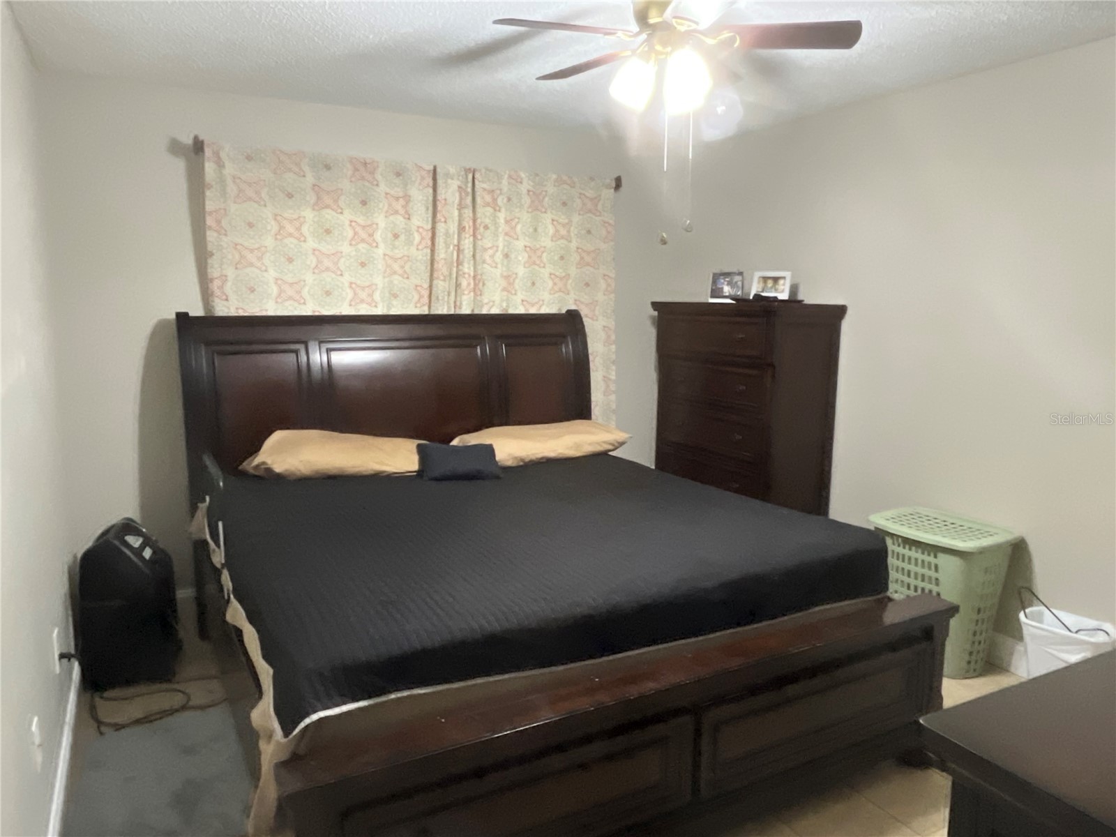 915 Burlwood Street Brandon FL 33511 TB8486883 image12