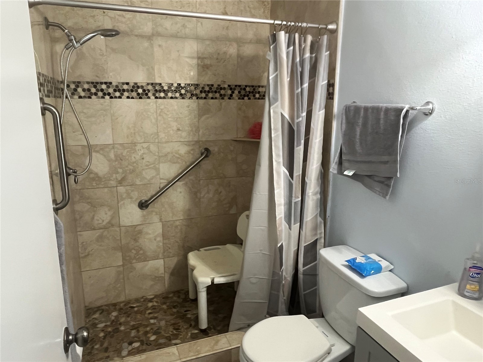 915 Burlwood Street Brandon FL 33511 TB8486883 image15