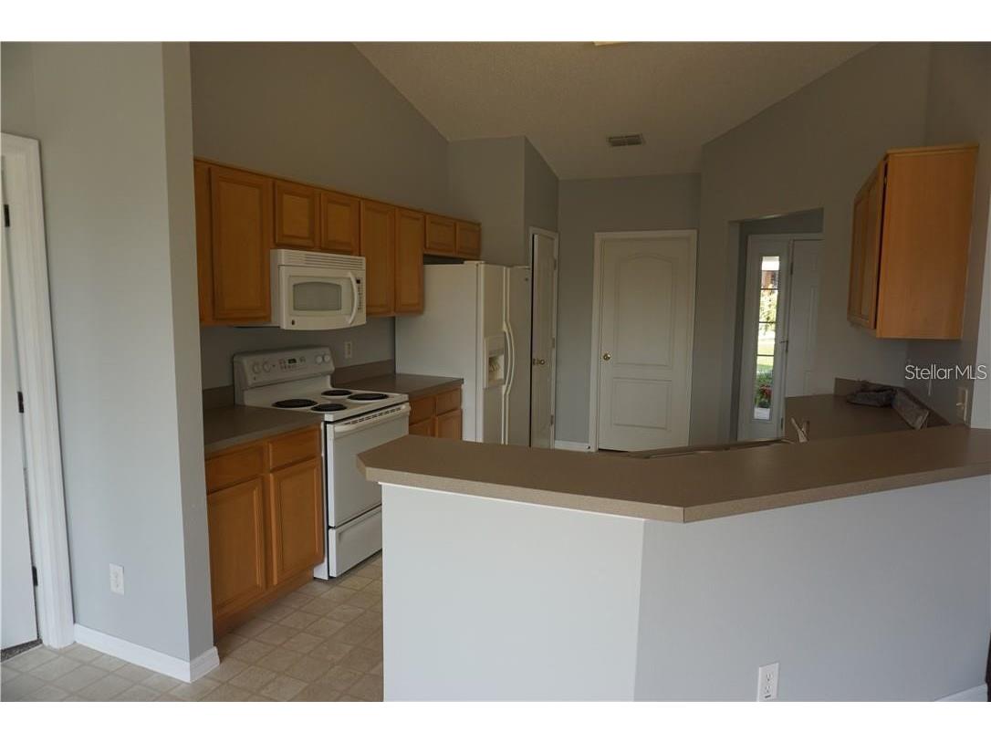 915 Cork Oak Lane Minneola FL 34715 O6356585 image4