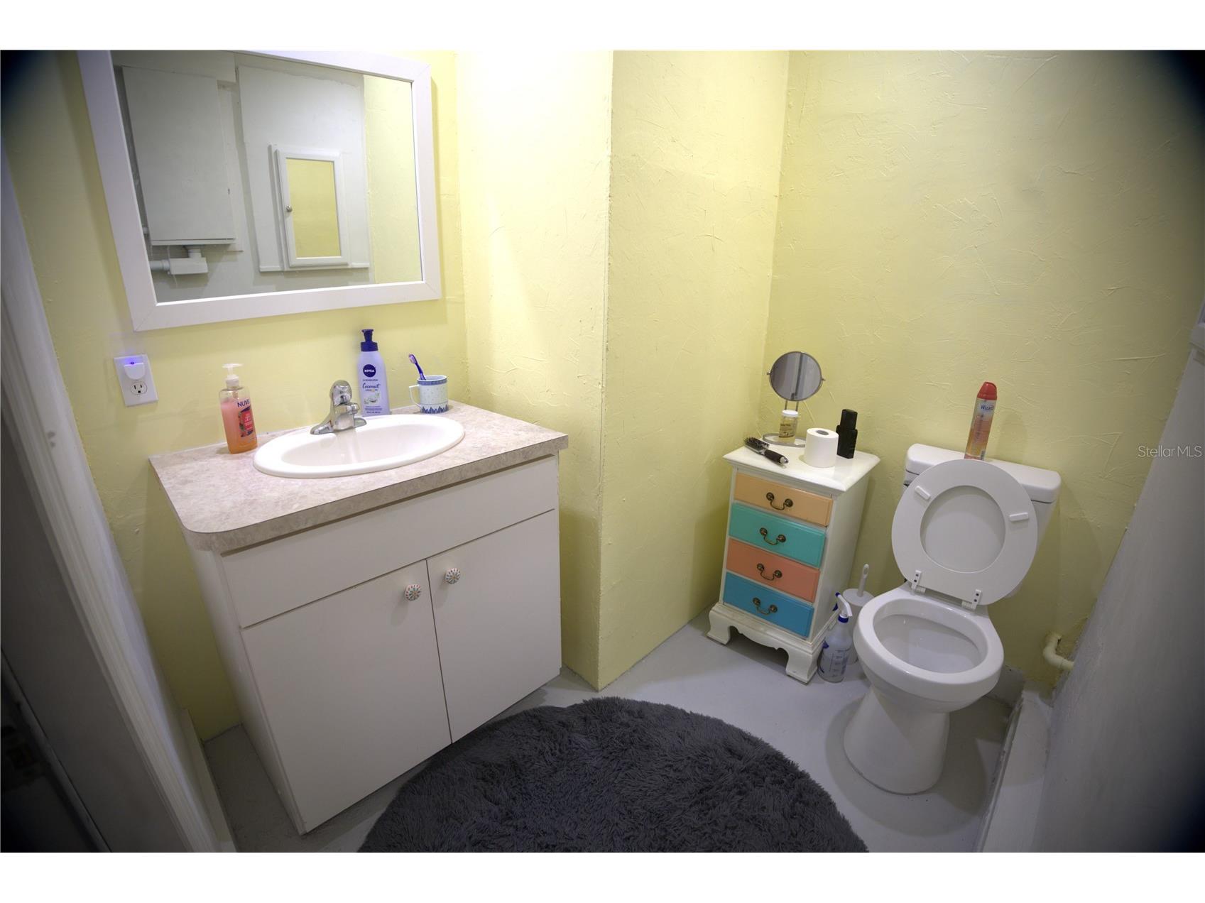 915 Dempsey Street Clearwater FL 33756 - LAKE BELLEVIEW TB8517562 image14