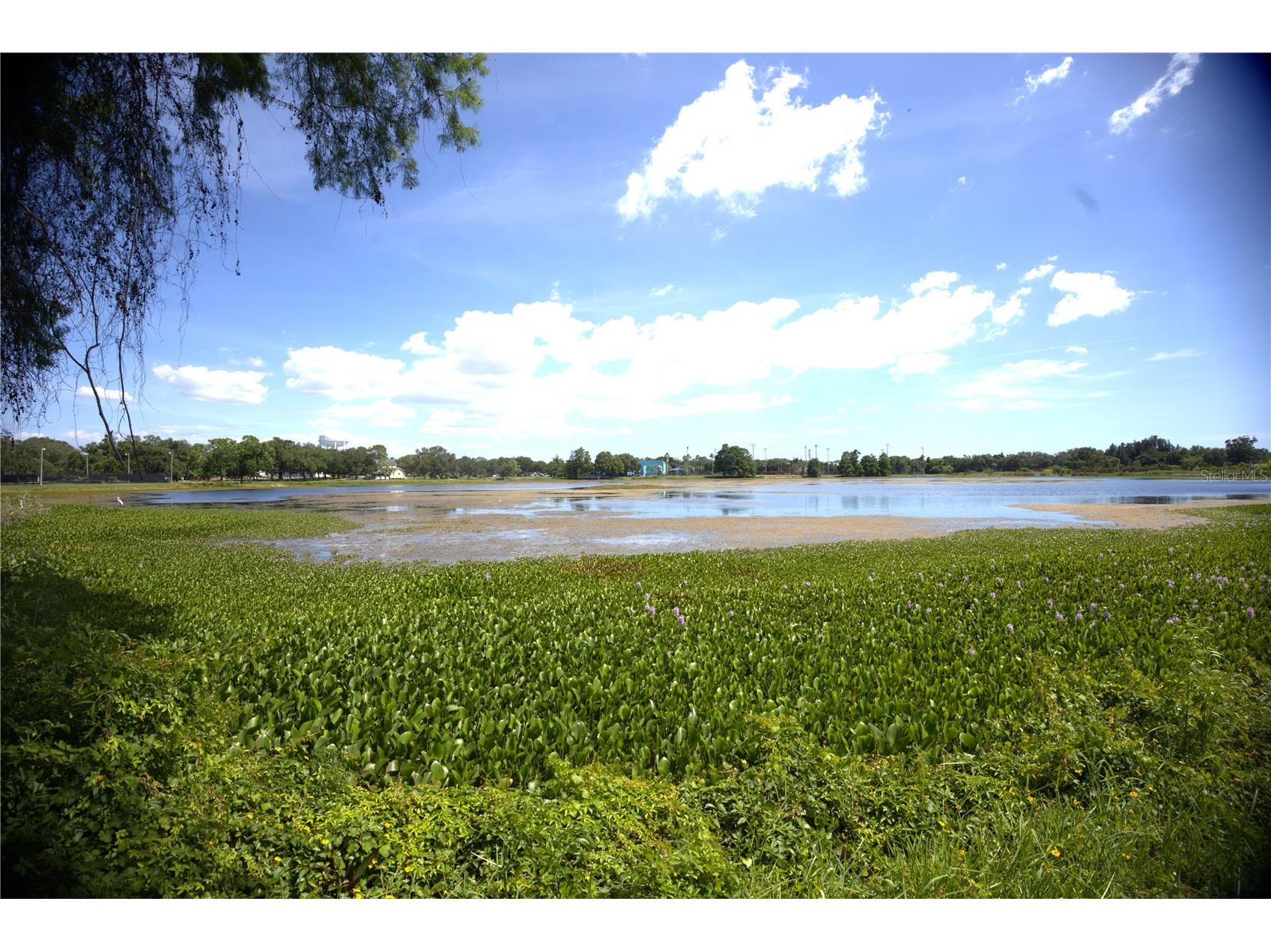 915 Dempsey Street Clearwater FL 33756 - LAKE BELLEVIEW TB8517562 image5