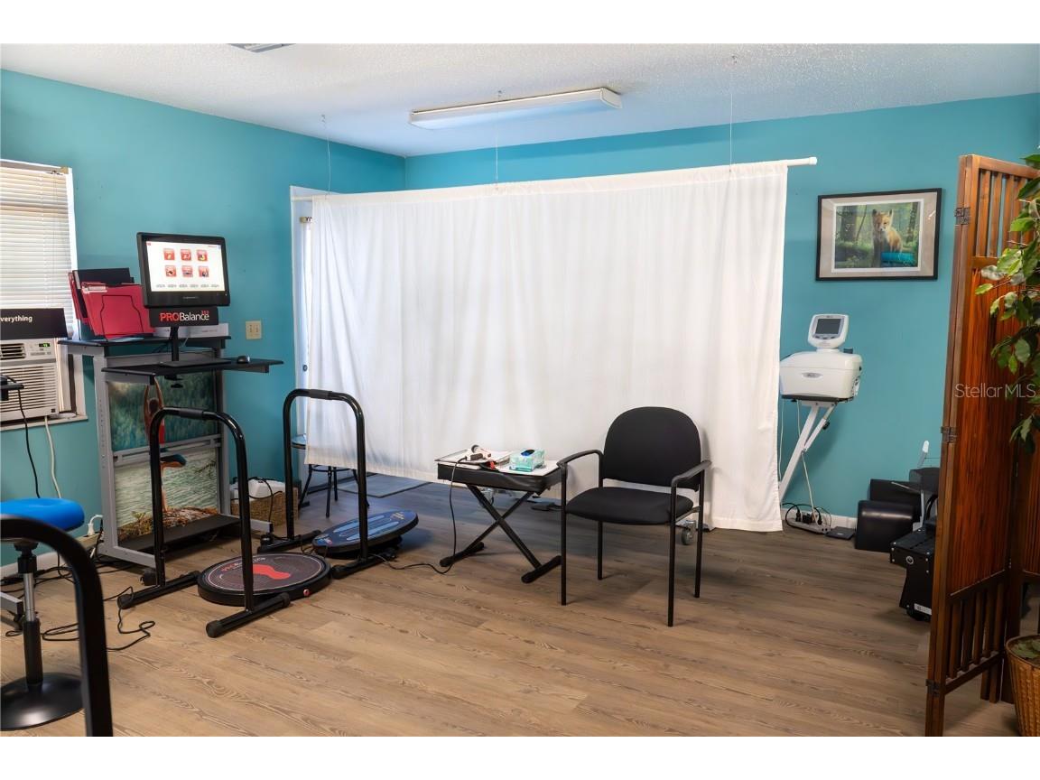 915 E Alfred Street Tavares FL 32778 G5103987 image10