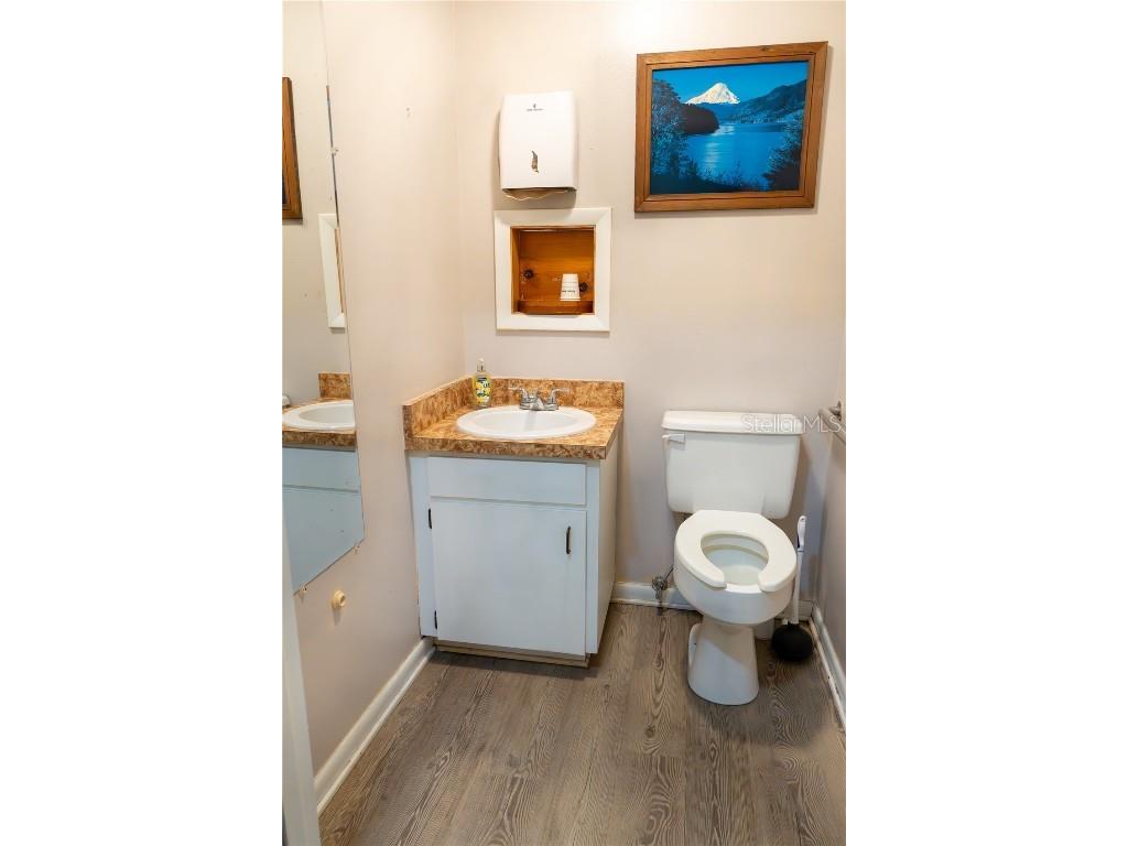 915 E Alfred Street Tavares FL 32778 G5103987 image11