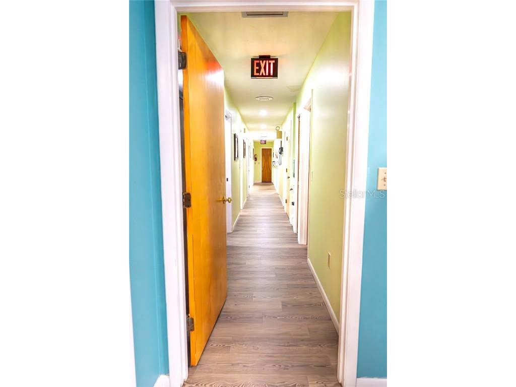 915 E Alfred Street Tavares FL 32778 G5103987 image7