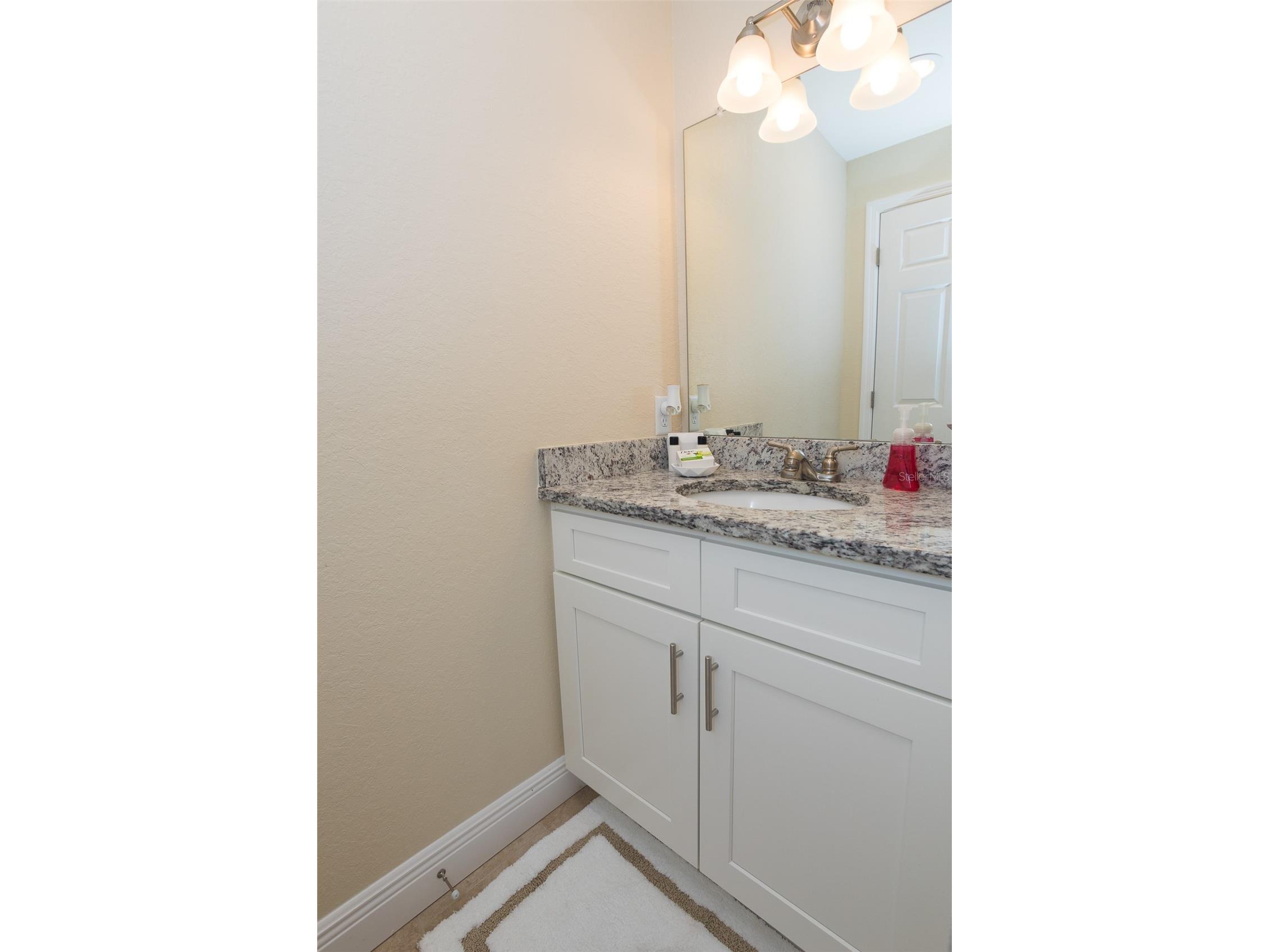 915 E Palmetto Street Lakeland FL 33801 L4950069 image43