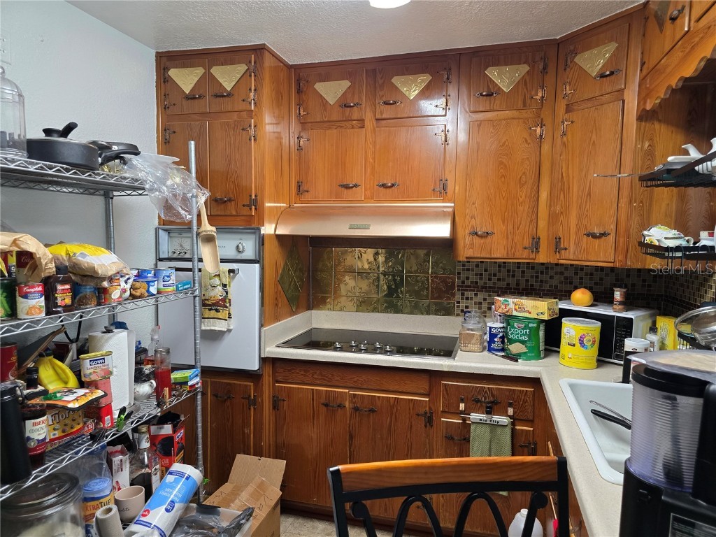 915 Exmoor Way Lake Wales FL 33853 P4933914 image9