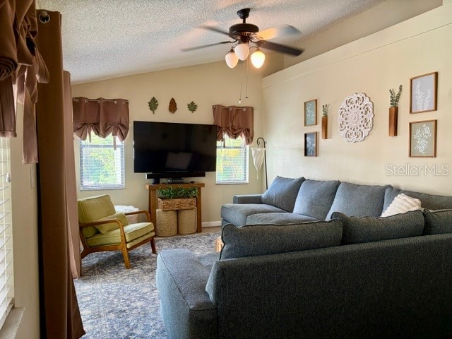 915 Harbor Hill Drive Safety Harbor FL 34695 TB8525747 image13