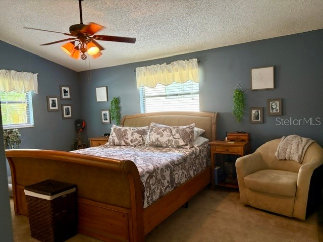 915 Harbor Hill Drive Safety Harbor FL 34695 TB8525747 image14