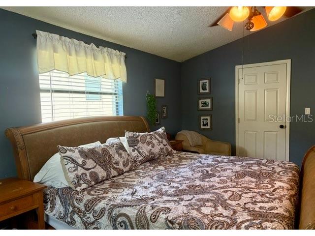 915 Harbor Hill Drive Safety Harbor FL 34695 TB8525747 image16