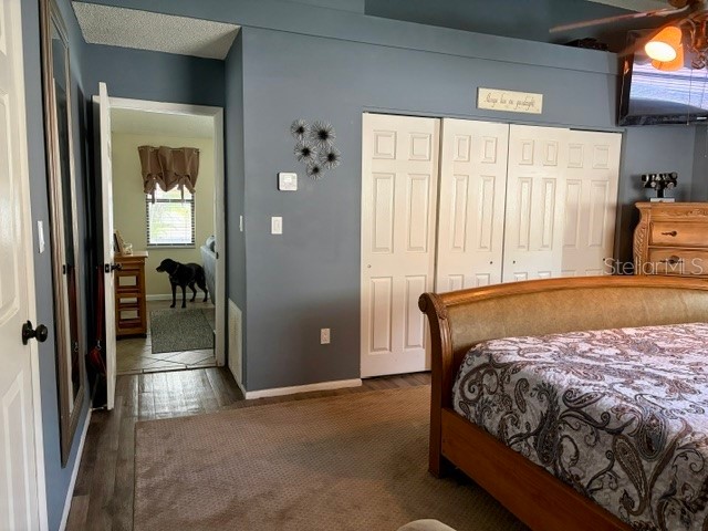 915 Harbor Hill Drive Safety Harbor FL 34695 TB8525747 image17