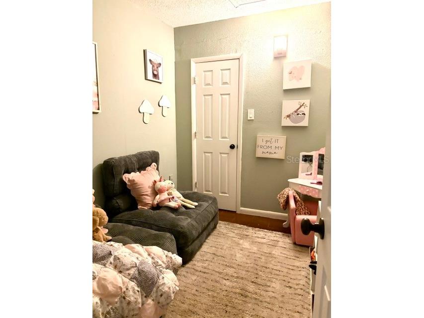 915 Harbor Hill Drive Safety Harbor FL 34695 TB8525747 image20