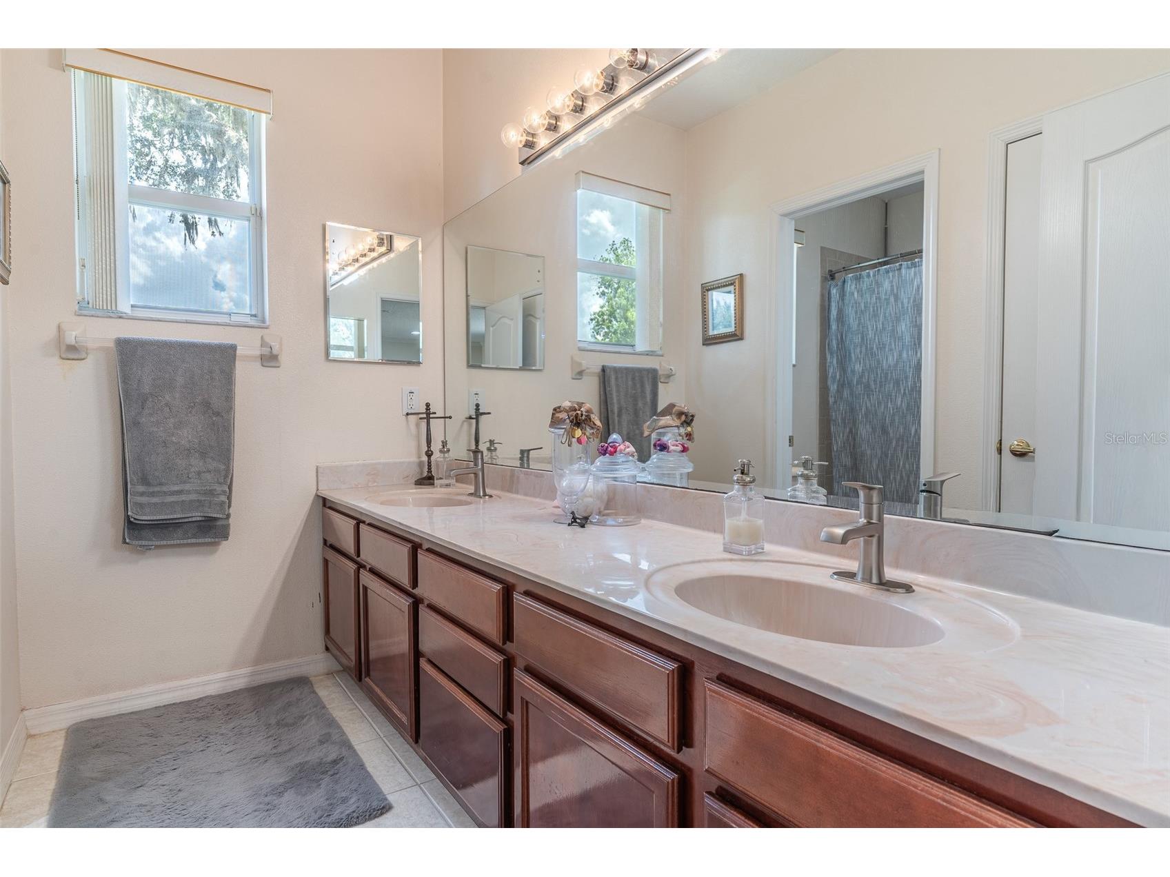 915 Hickory Fork Drive Seffner FL 33584 L4961879 image19