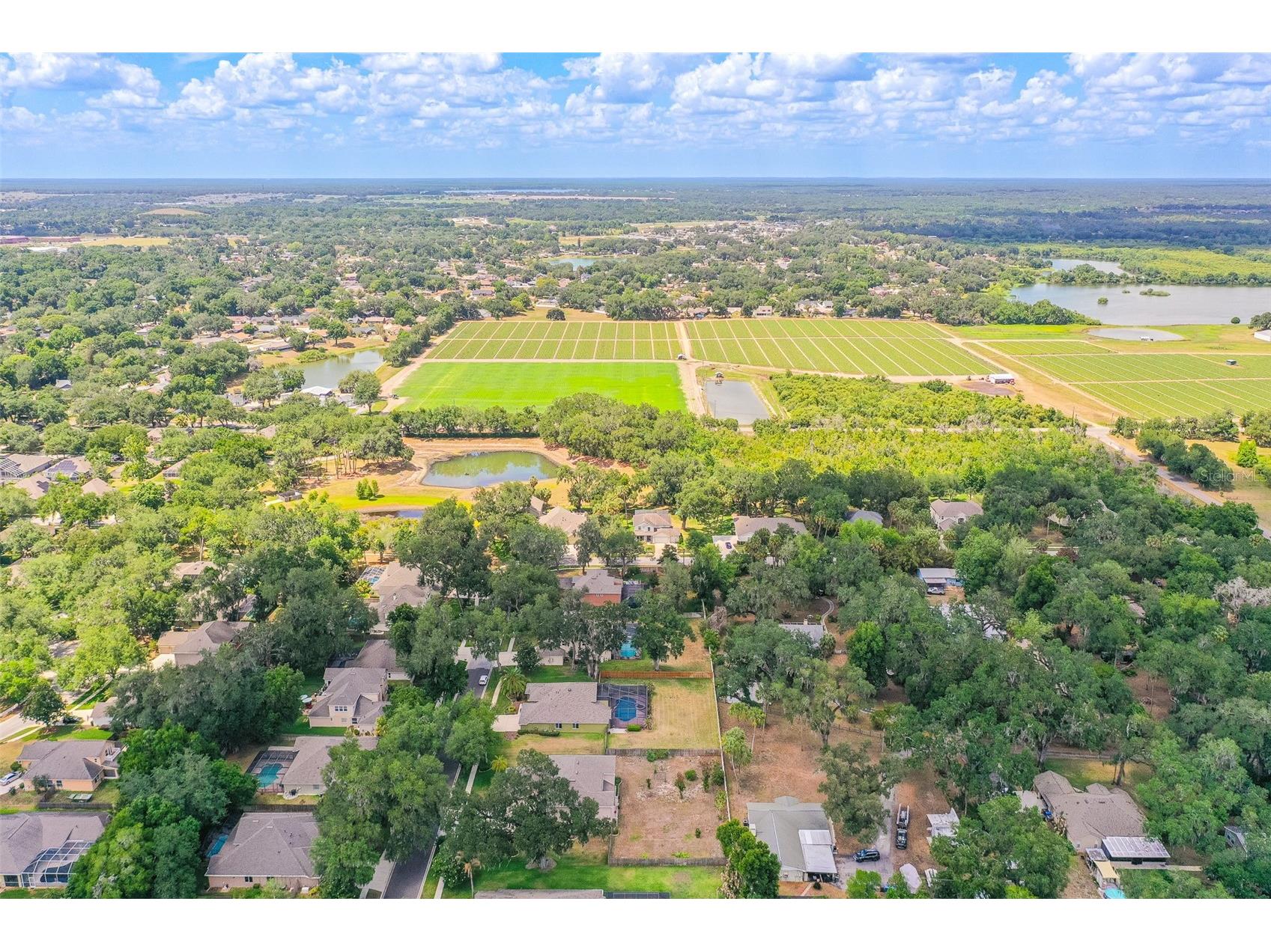 915 Hickory Fork Drive Seffner FL 33584 L4961879 image39