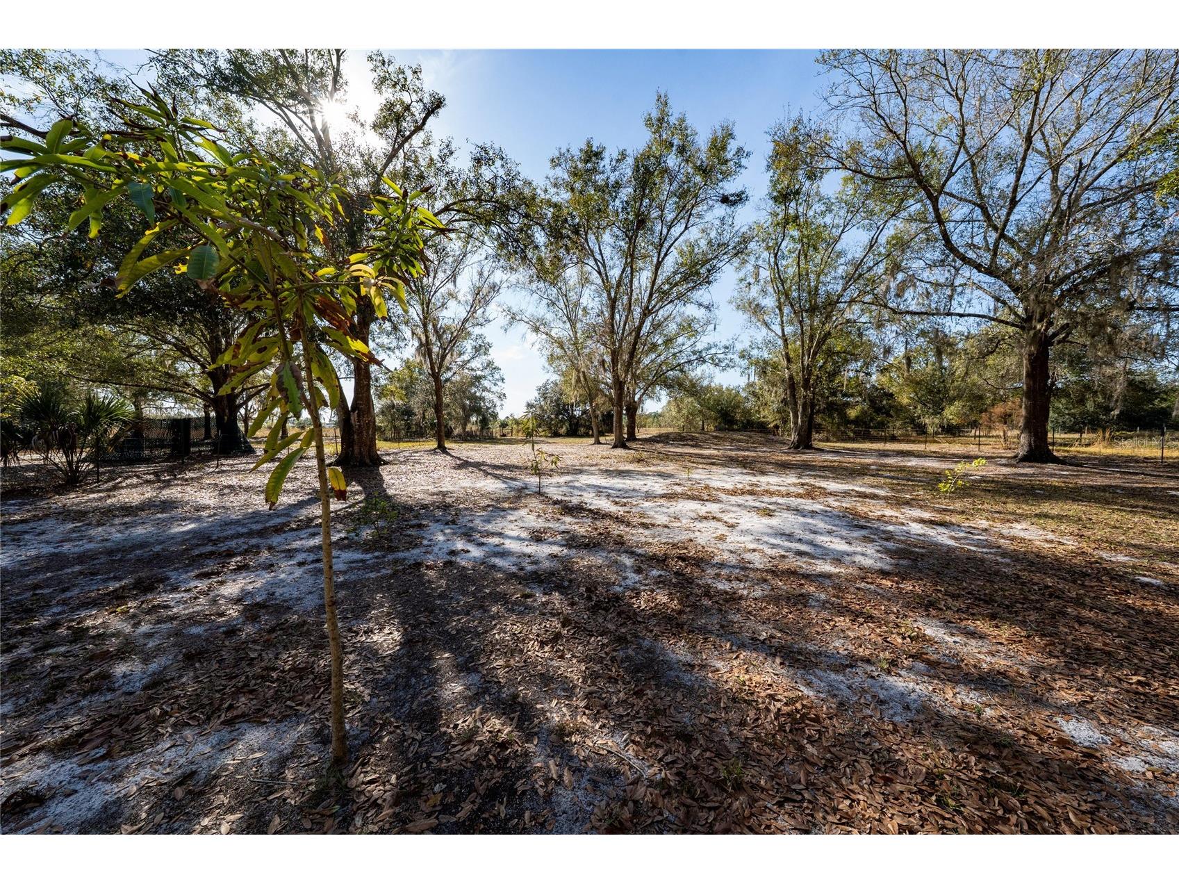 915 Keen Road #915 Frostproof FL 33843 - LITTLE CROOKED LAKE S5141576 image17