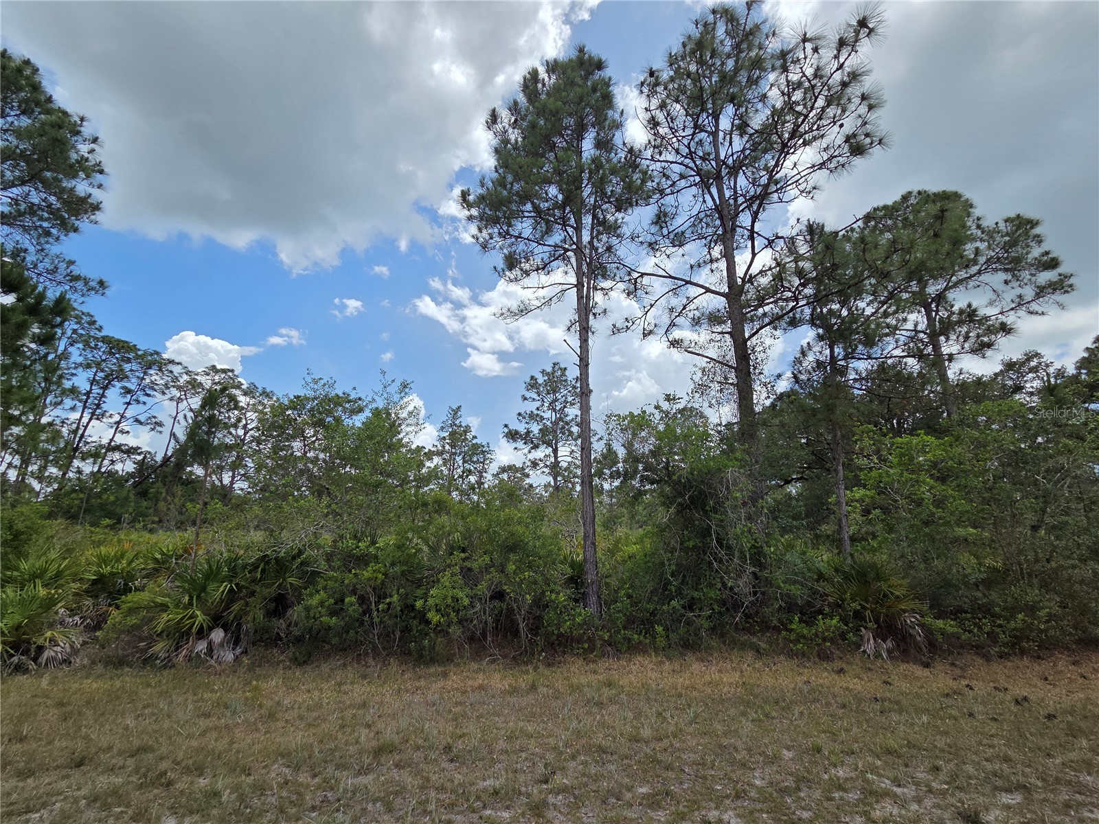 915 Laguna Dr Indian Lake Estates FL 33855 P4938813 image1