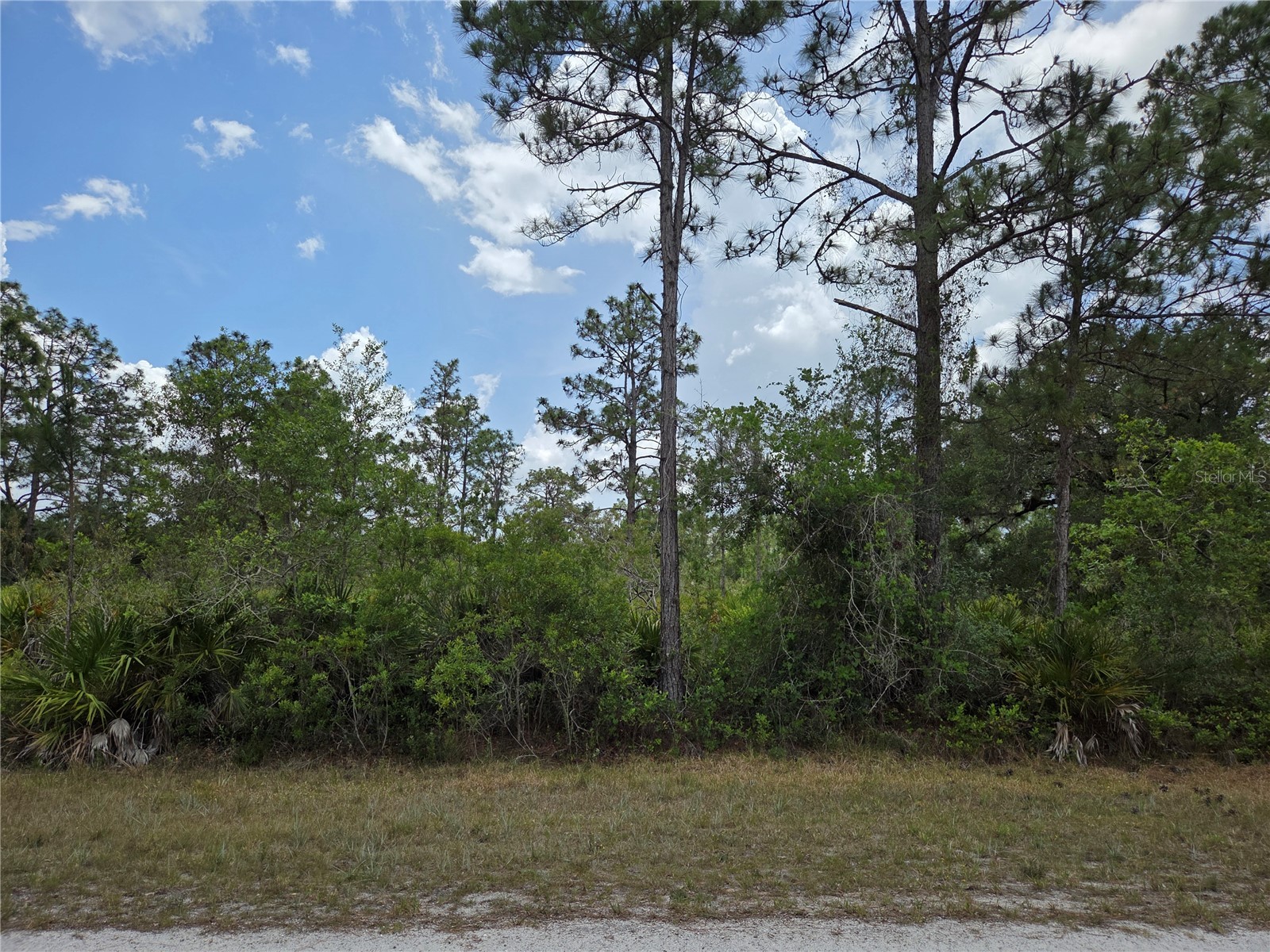 915 Laguna Dr Indian Lake Estates FL 33855 P4938813 image2