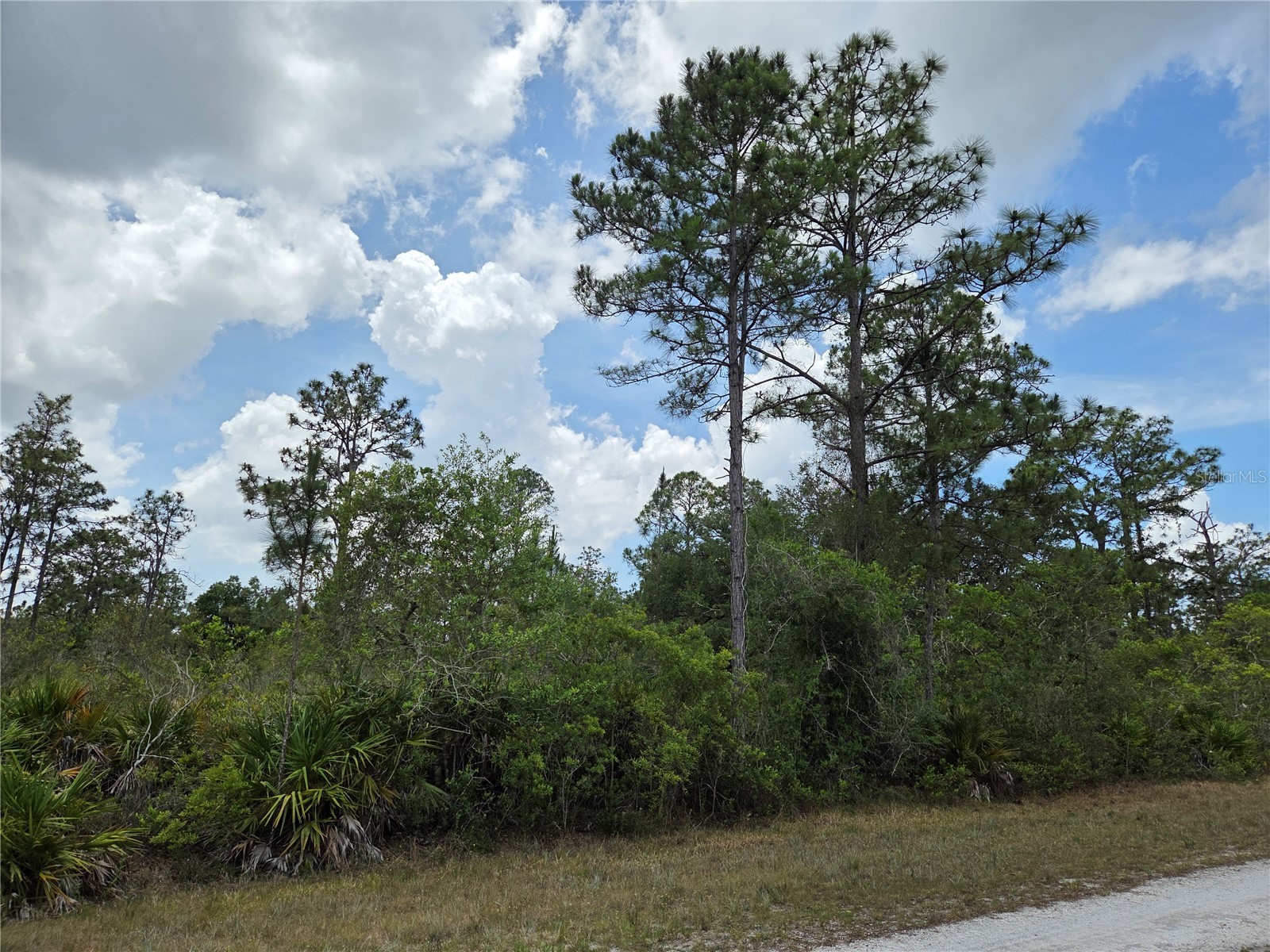 915 Laguna Dr Indian Lake Estates FL 33855 P4938813 image3