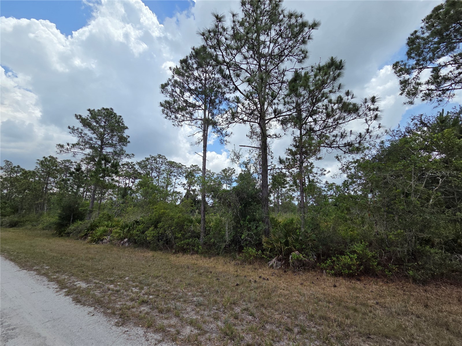 915 Laguna Dr Indian Lake Estates FL 33855 P4938813 image4