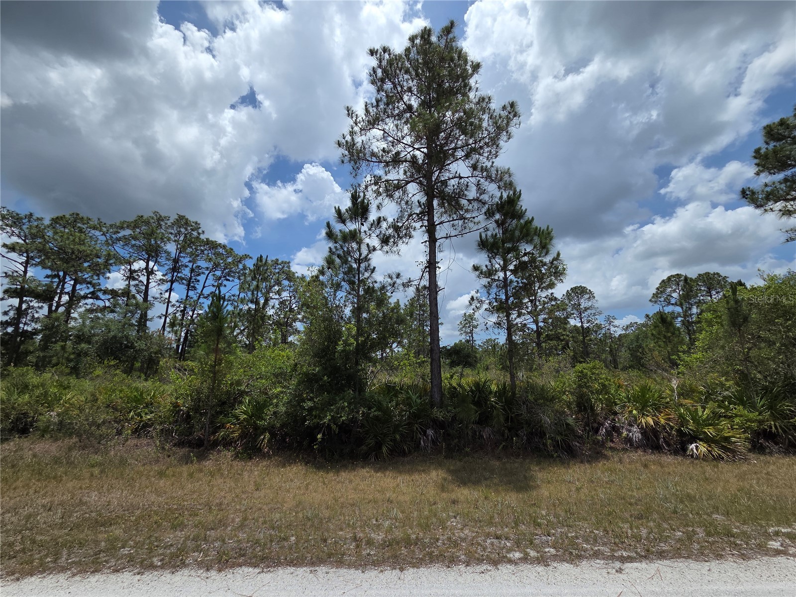 915 Laguna Dr Indian Lake Estates FL 33855 P4938813 image5