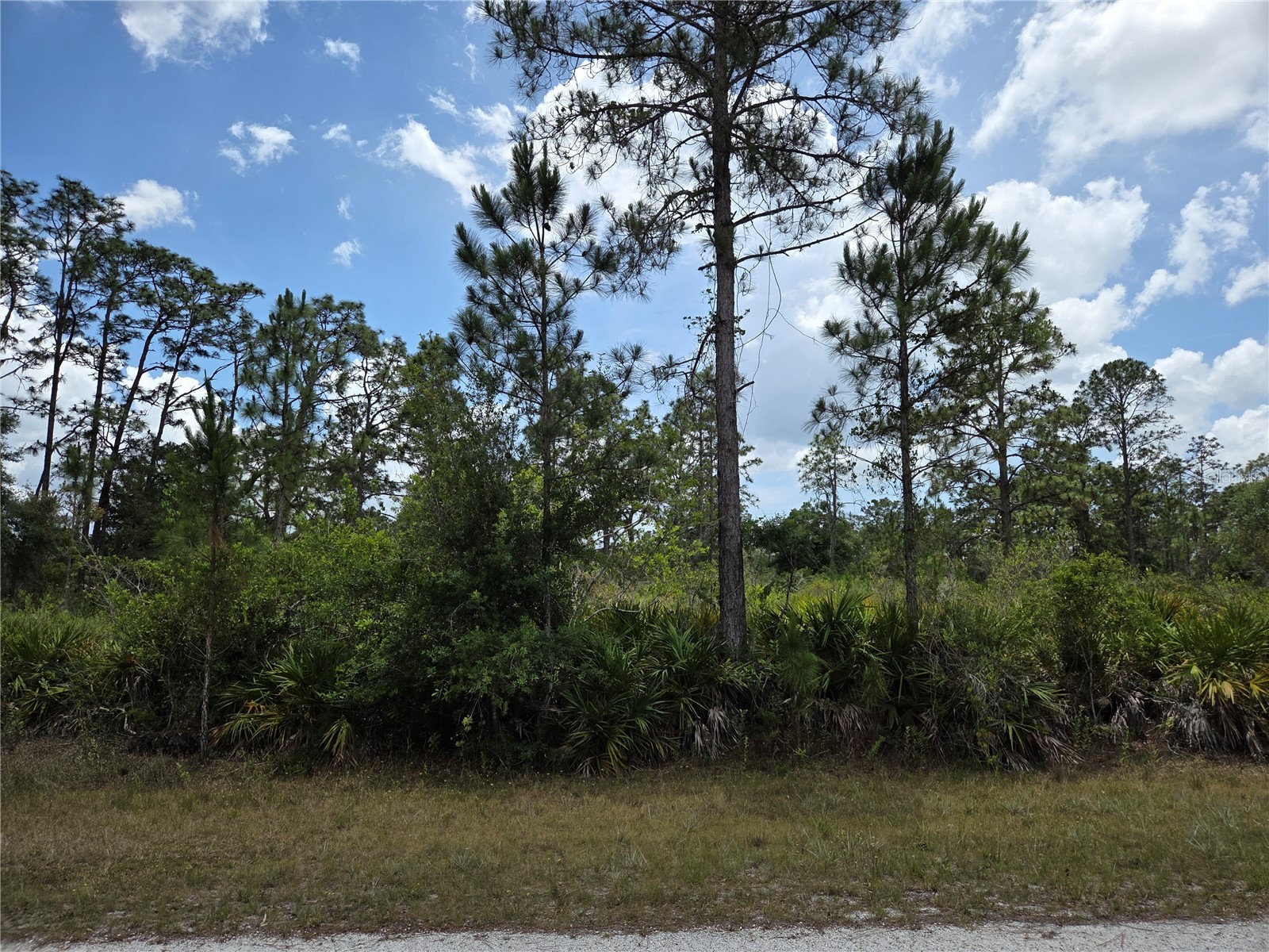 915 Laguna Dr Indian Lake Estates FL 33855 P4938813 image6