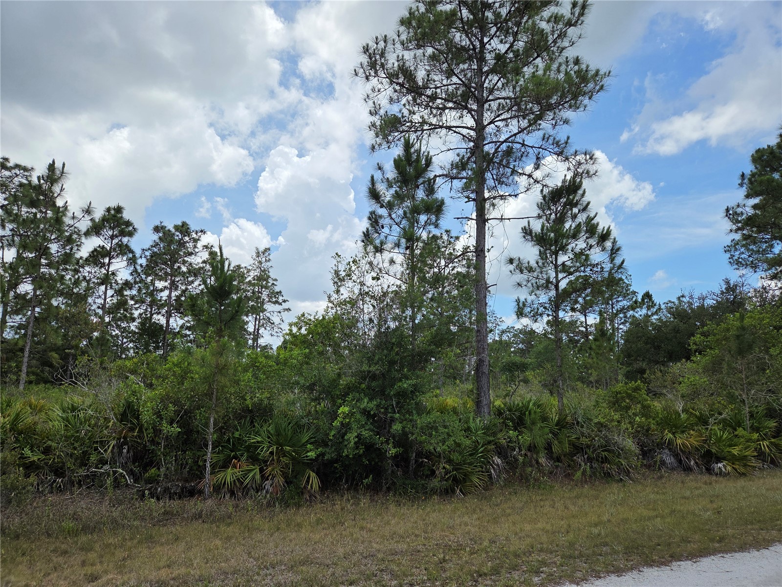915 Laguna Dr Indian Lake Estates FL 33855 P4938813 image7