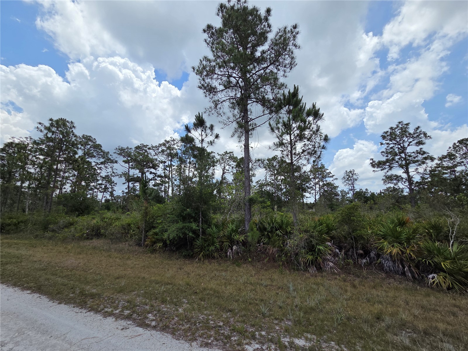 915 Laguna Dr Indian Lake Estates FL 33855 P4938813 image8