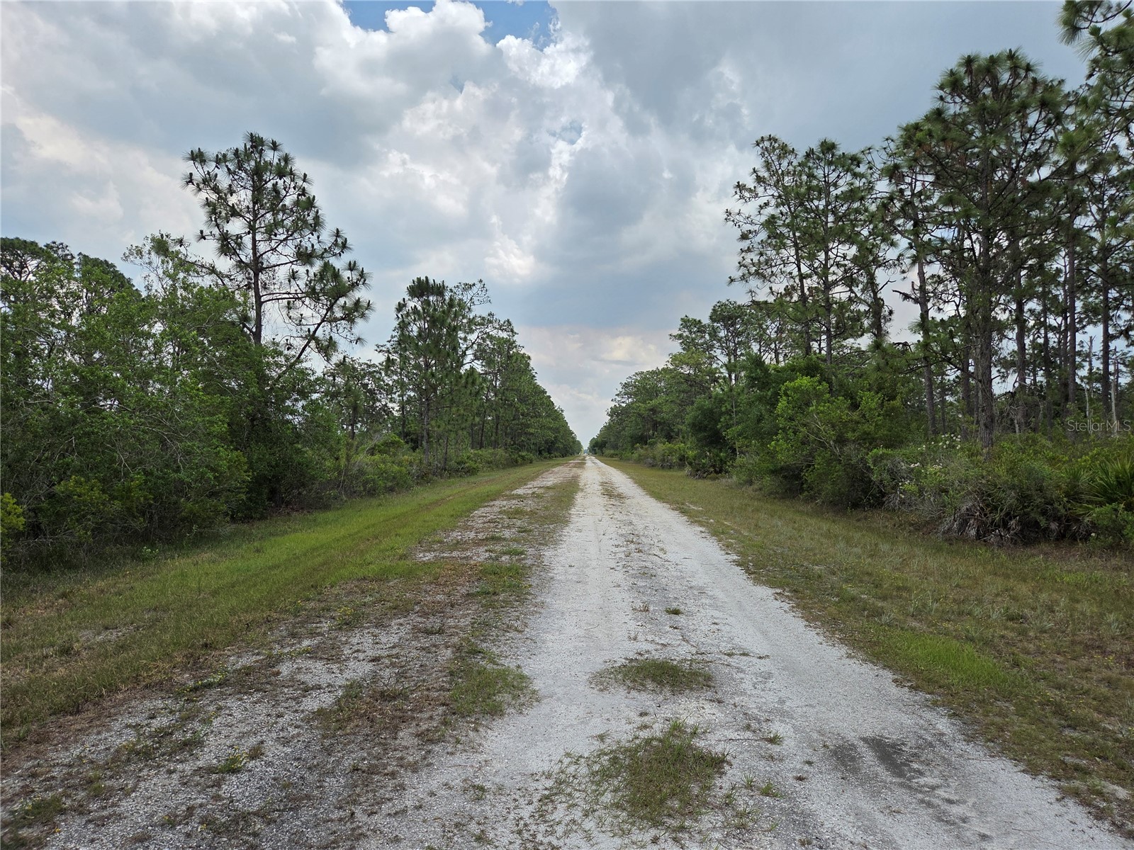 915 Laguna Dr Indian Lake Estates FL 33855 P4938813 image9