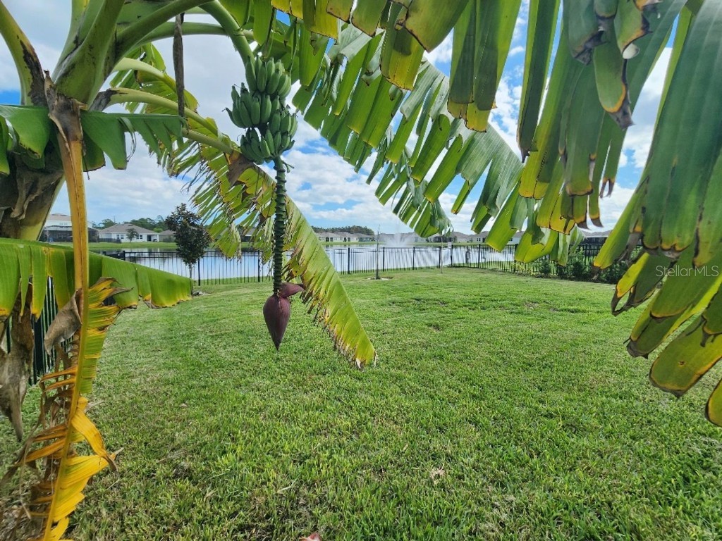 915 Noble Run New Smyrna Beach FL 32168 NS1086590 image22