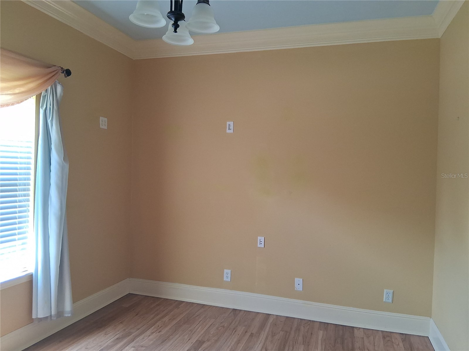 915 Old Welcome Road Lithia FL 33547 TB8508950 image13