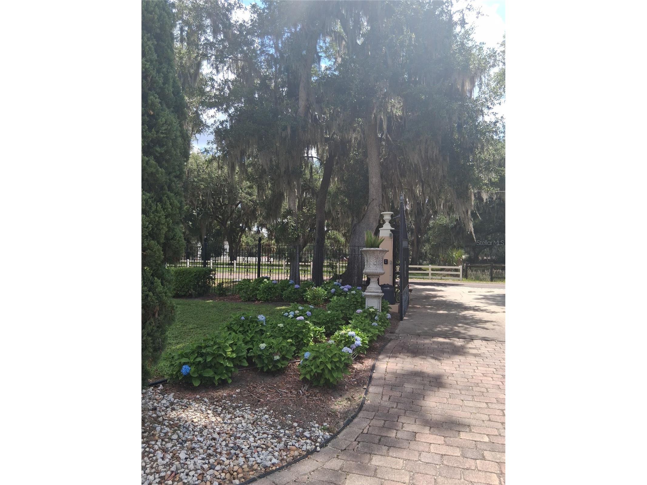 915 Old Welcome Road Lithia FL 33547 TB8508950 image21