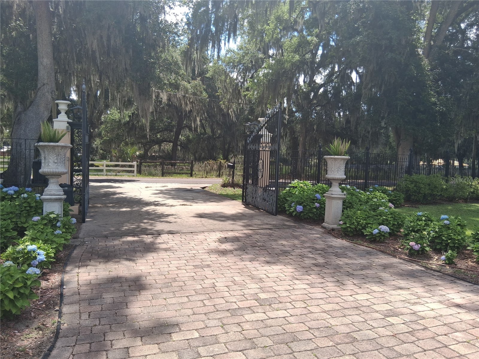 915 Old Welcome Road Lithia FL 33547 TB8508950 image23