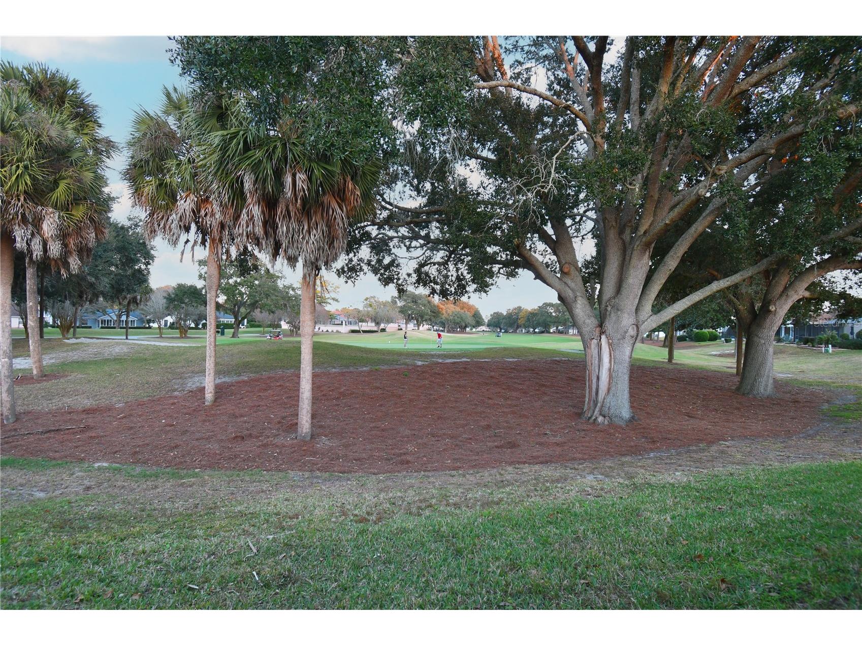 915 Ramos Drive The Villages FL 32159 G5105852 image25