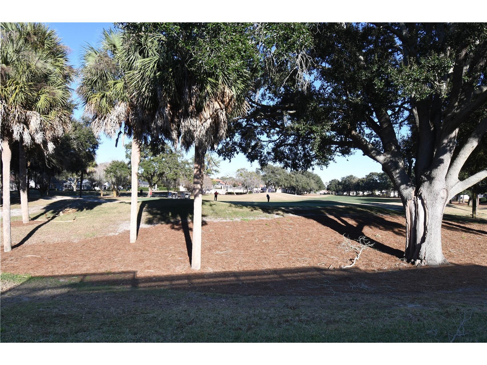 915 Ramos Drive The Villages FL 32159 G5105852 image26